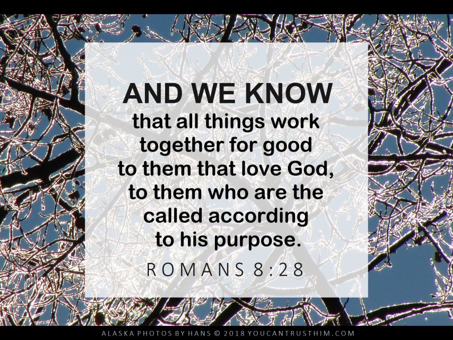 Frosty branches; Bible verse: Romans 8:28