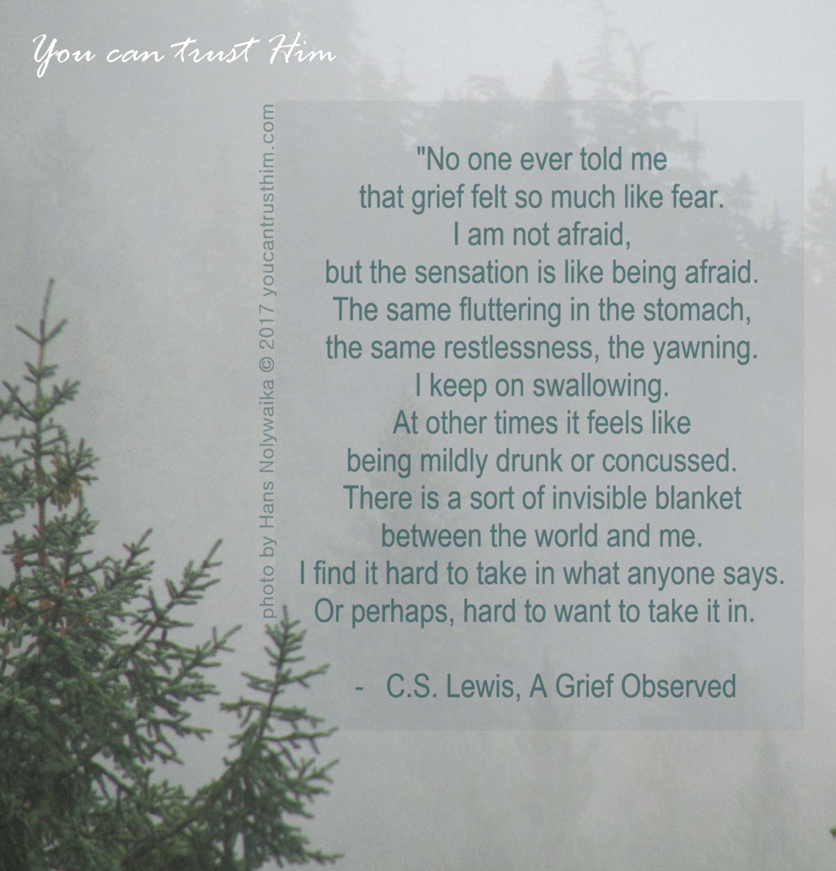 C.S. Lewis, A Grief Observed