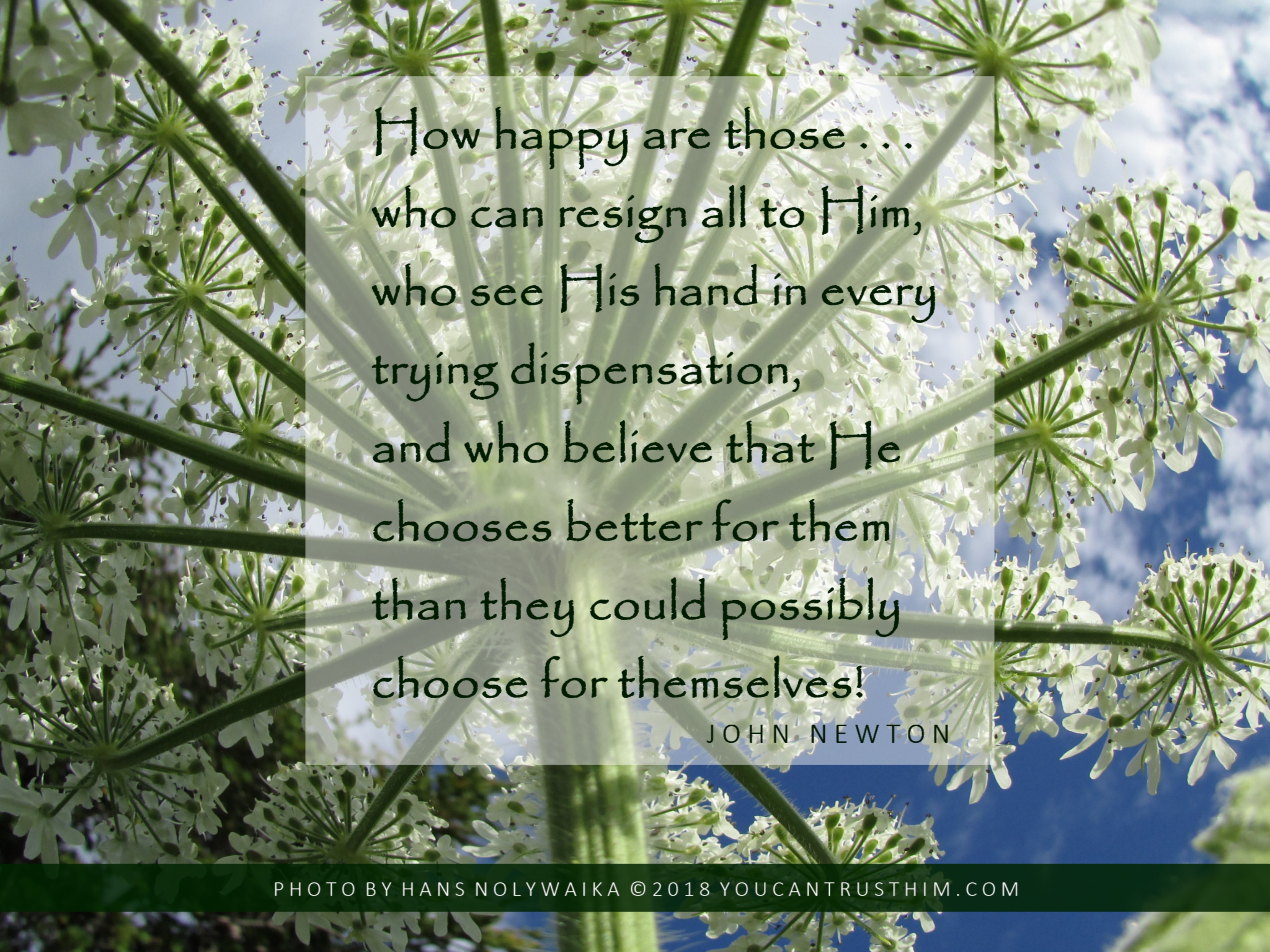 How happy are those who can resign all to Him - John Newton