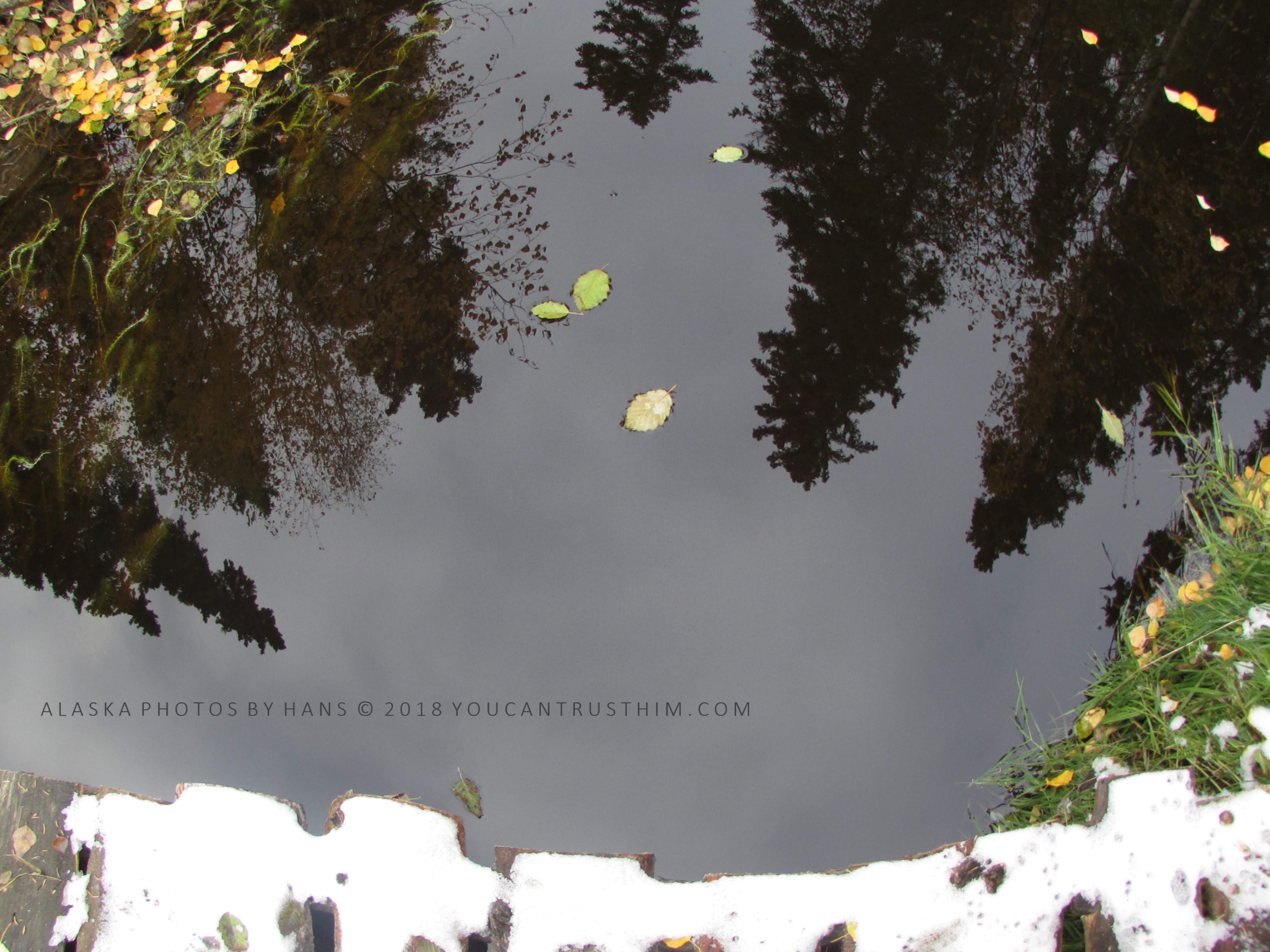 Handmade Bridge over Little Goldstream Creek, Alaska