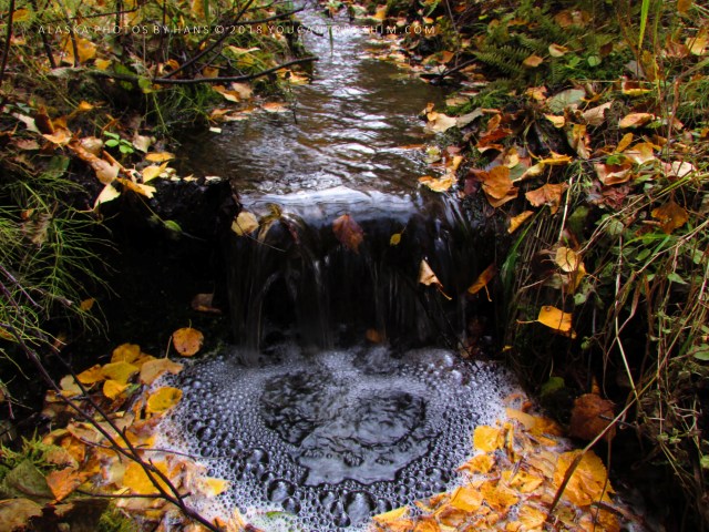 Little Goldstream Creek, Alaska