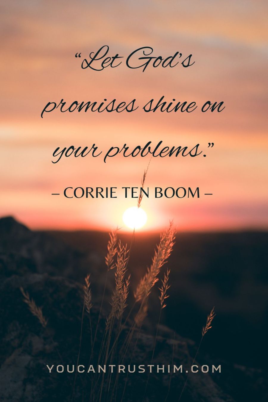 sunrise over a field