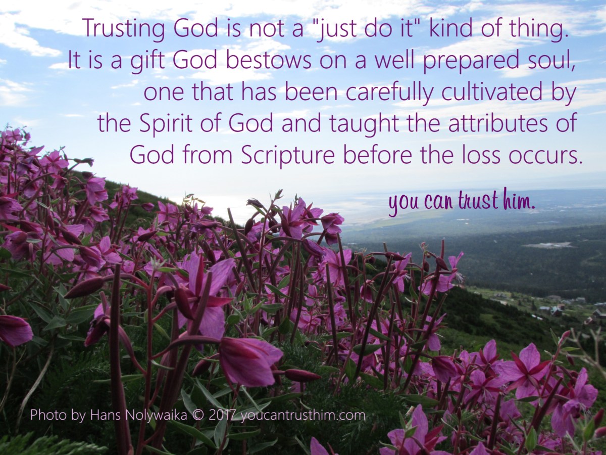Trust God?! Why Should I? – You Can Trust Him